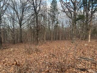15620 County Rd WW-A Mountain View, MO 65548 - Photo 56 of 60 IMG_3491