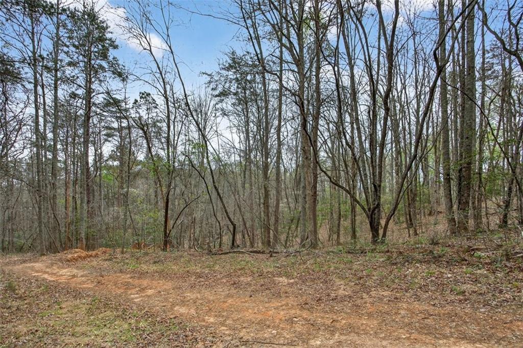 1812 Upper Bethany Road Ball Ground, GA 30107 - Photo 4 of 11 Gallery Image 4