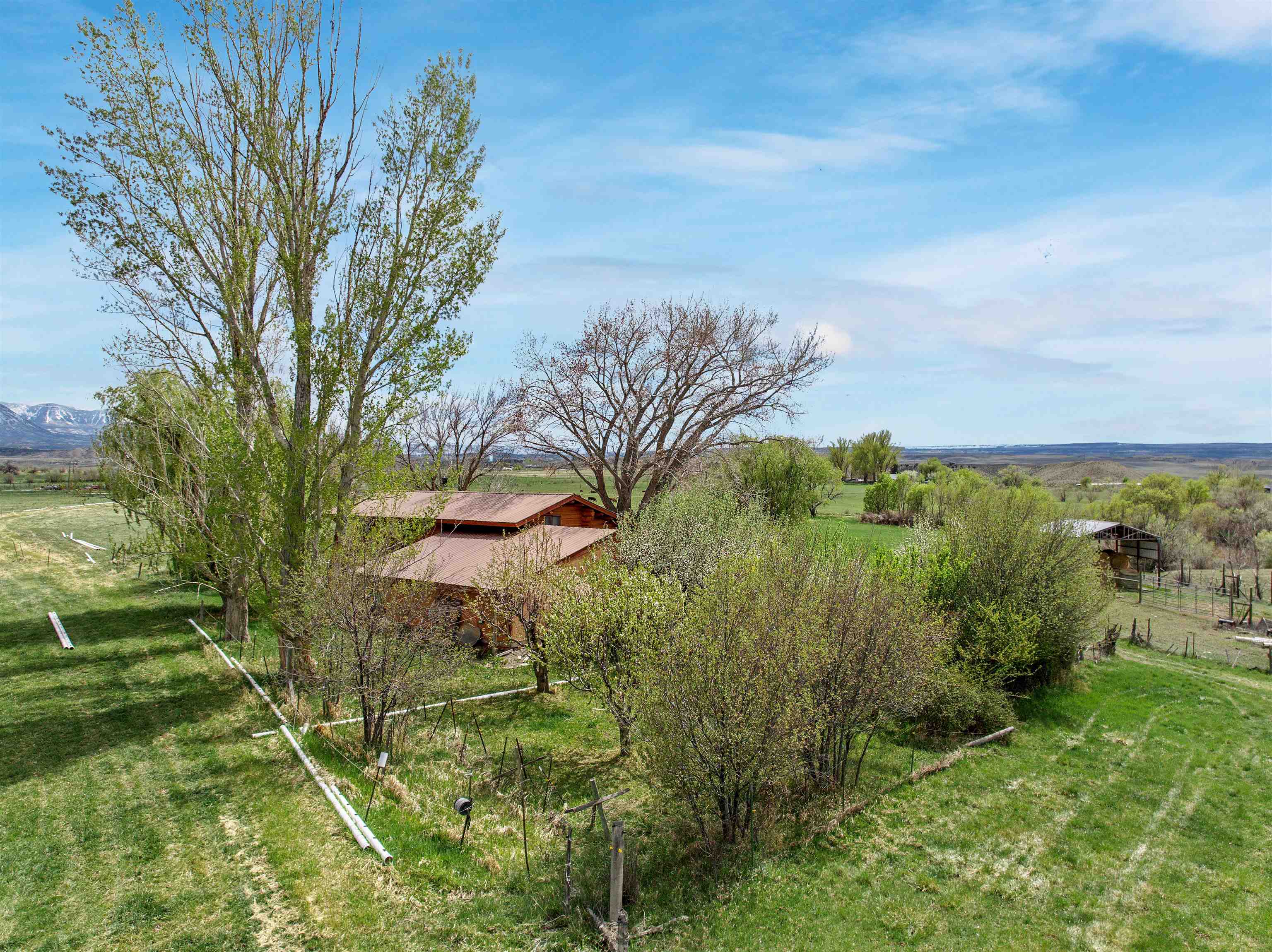 9709 3605 Road Hotchkiss, CO 81419 - Photo 42 of 42 a view of a garden