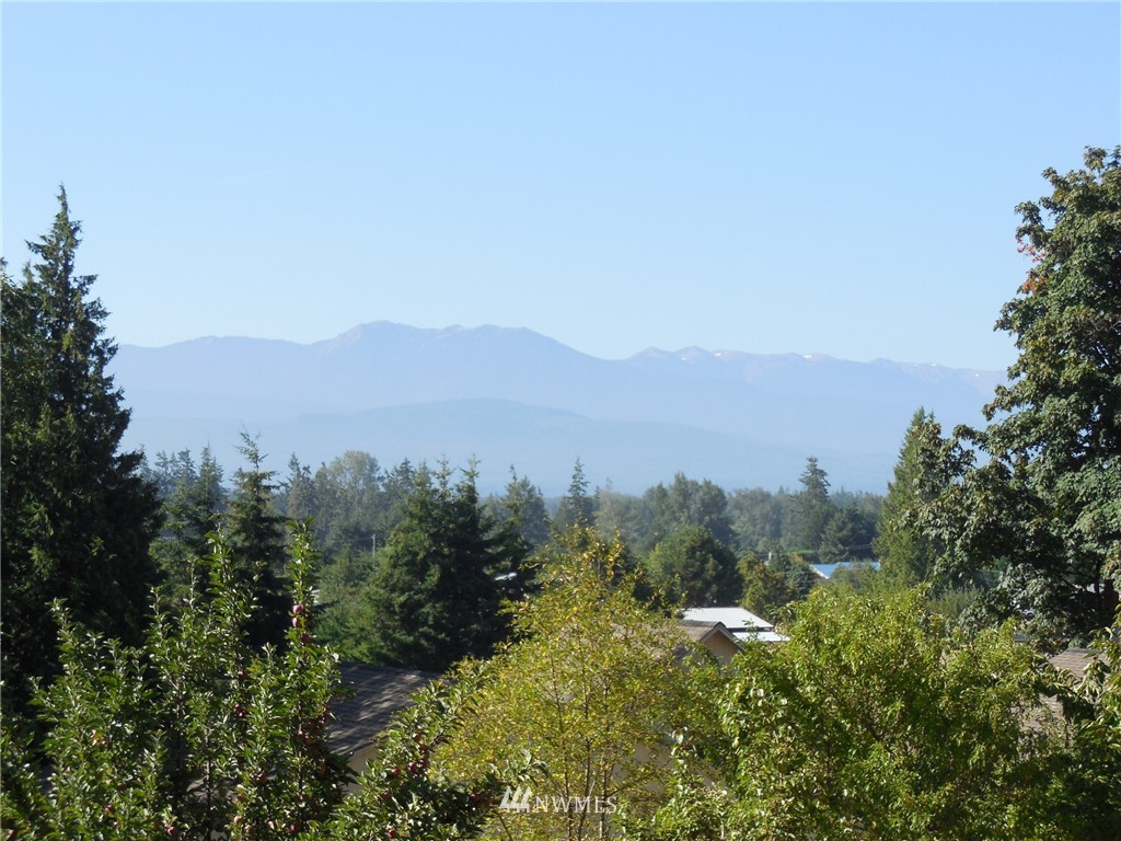 114 Forest Ridge Drive Sequim, WA 98382 - Photo 3 of 25 Gallery Image 3
