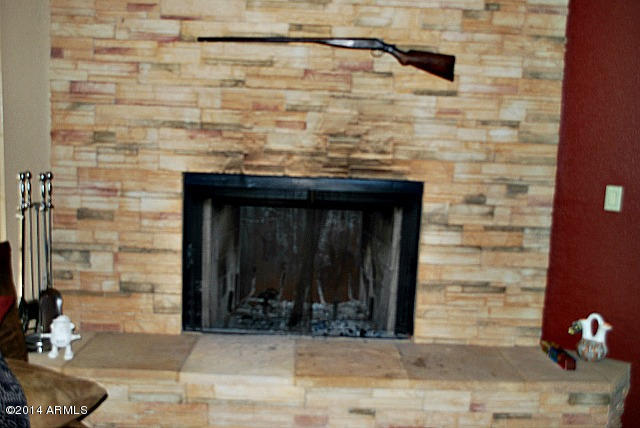 831 East Cloud Road Phoenix, AZ 85086 - Photo 12 of 29 fireplace