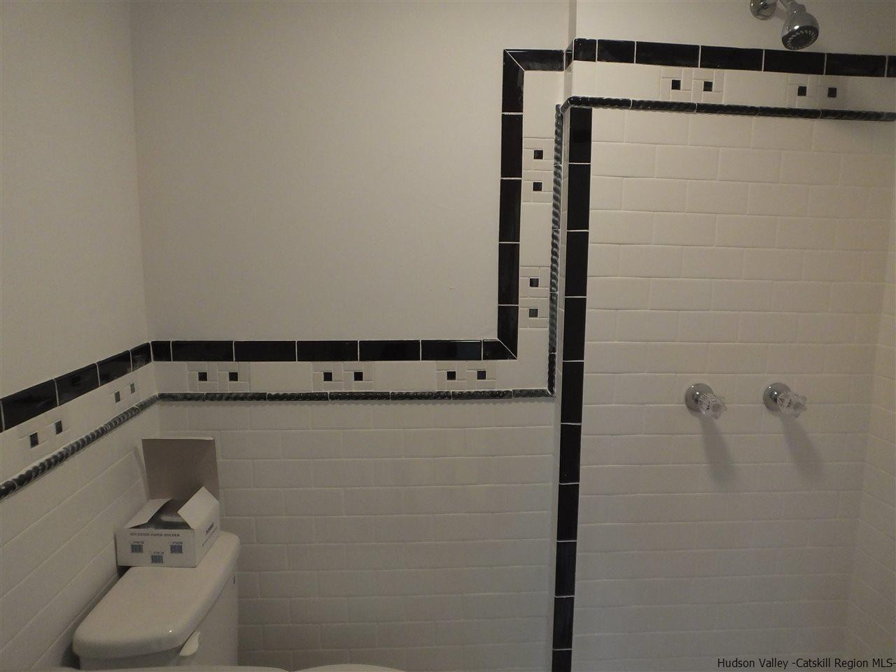 300 Vly Atwood Road Stone Ridge, NY 12484 - Photo 25 of 31 a bathroom with a shower