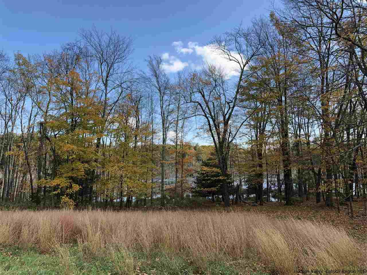 300 Vly Atwood Road Stone Ridge, NY 12484 - Photo 8 of 31 a view of a yard