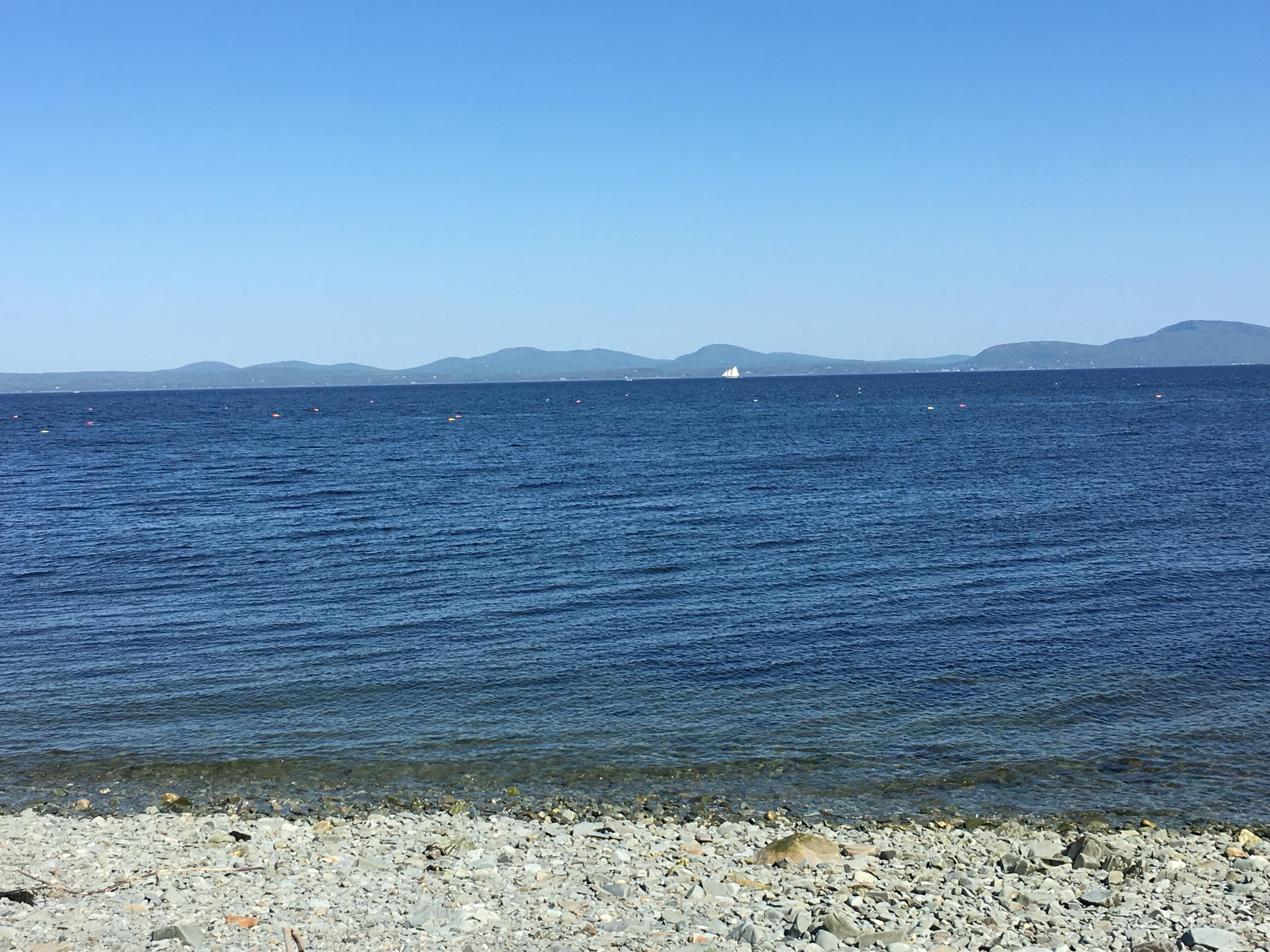 1000 Crabtree Point Road North Haven, ME 04853 - Photo 13 of 27 IMG_5515