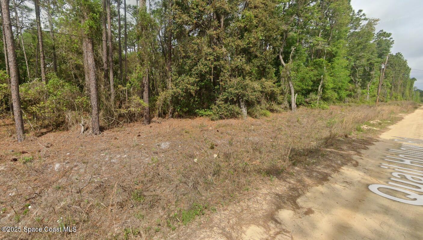 0 Quail Hollow Road Satsuma, FL 32189 - Photo 1 of 3 IMG_1793