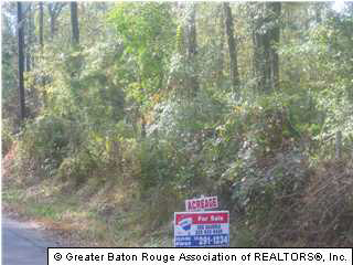 3 Lower Rome Road Provencal, LA 71468 - Photo 1 of 1 Gallery Image 1
