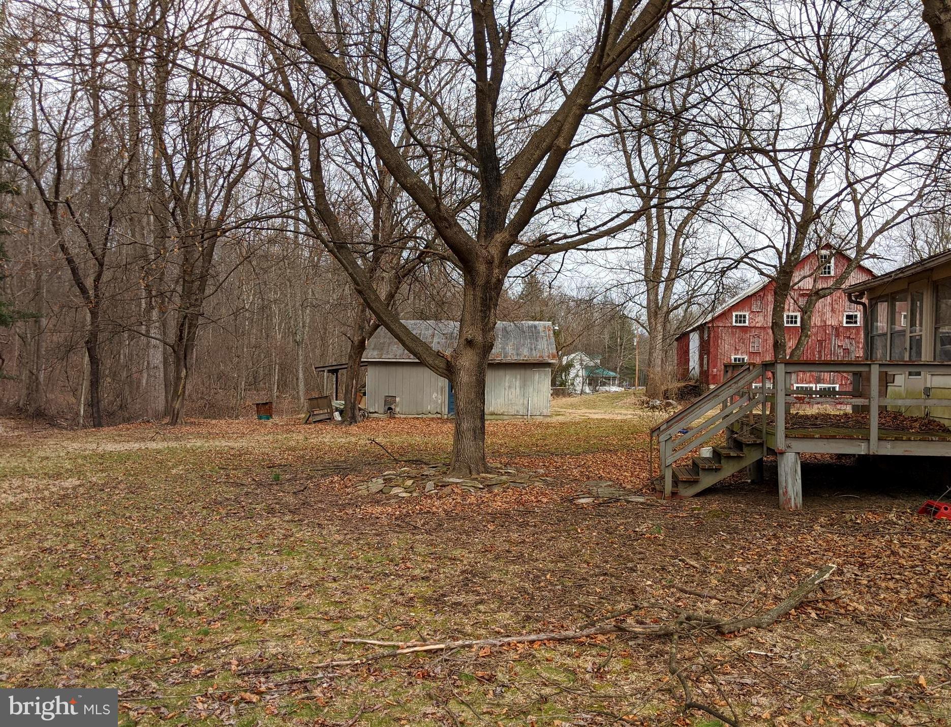 2209 Coon Road Biglerville, PA 17307 - Photo 5 of 33 Backyard facing East.