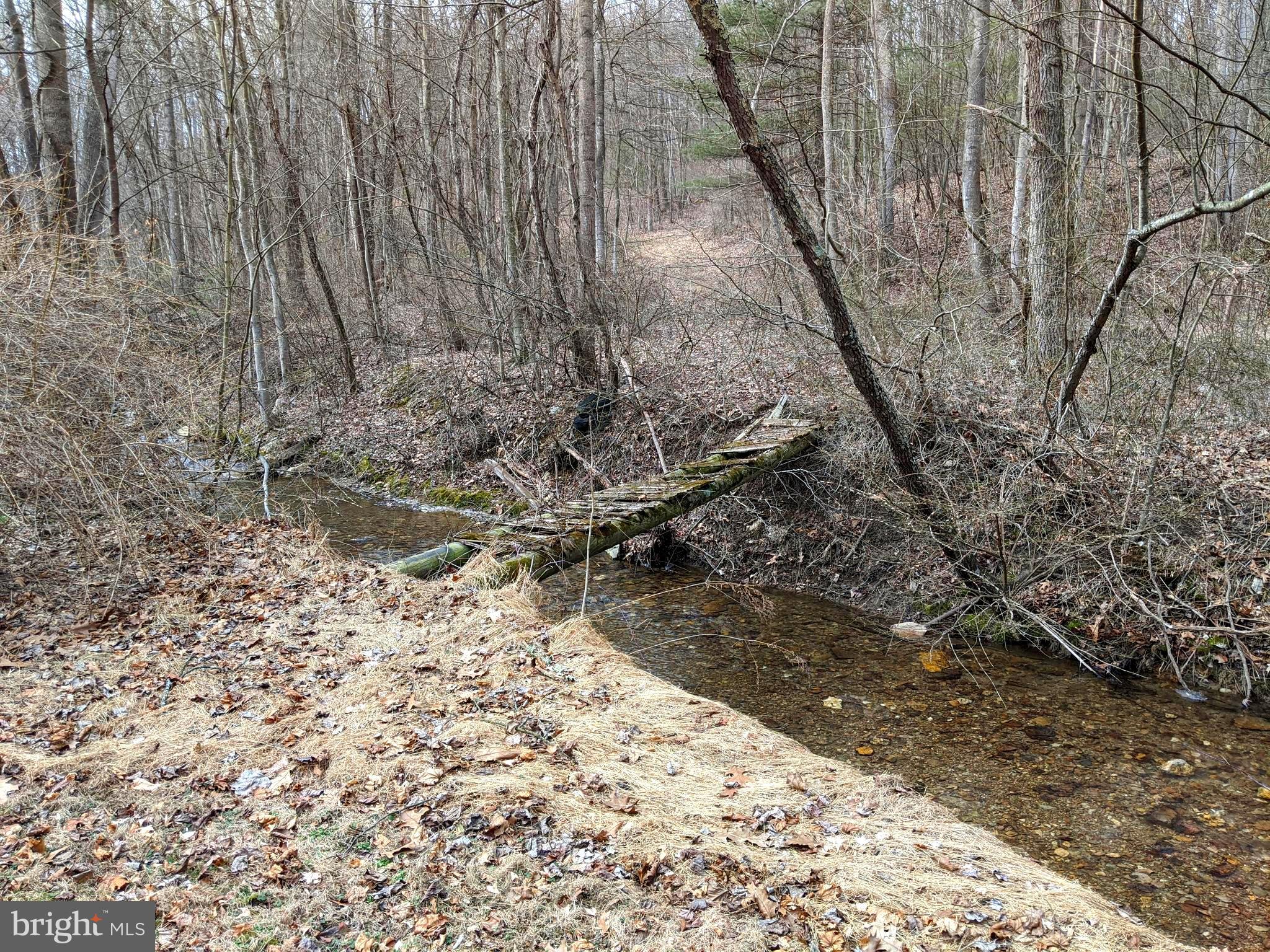 2209 Coon Road Biglerville, PA 17307 - Photo 9 of 33 Creek/Stream at property.