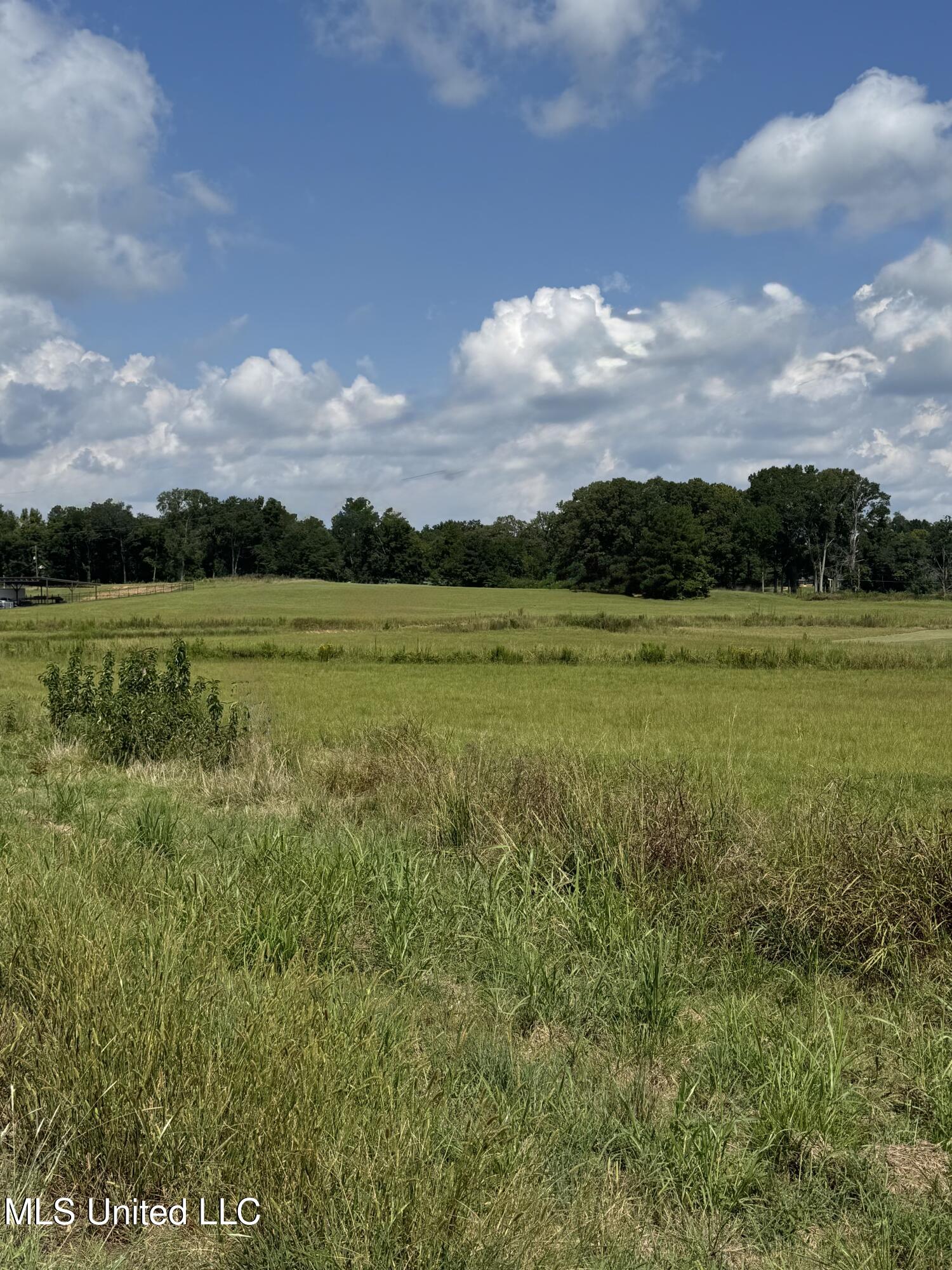 C3 Ms-16 Benton, MS 39039 - Photo 1 of 7 IMG_8896