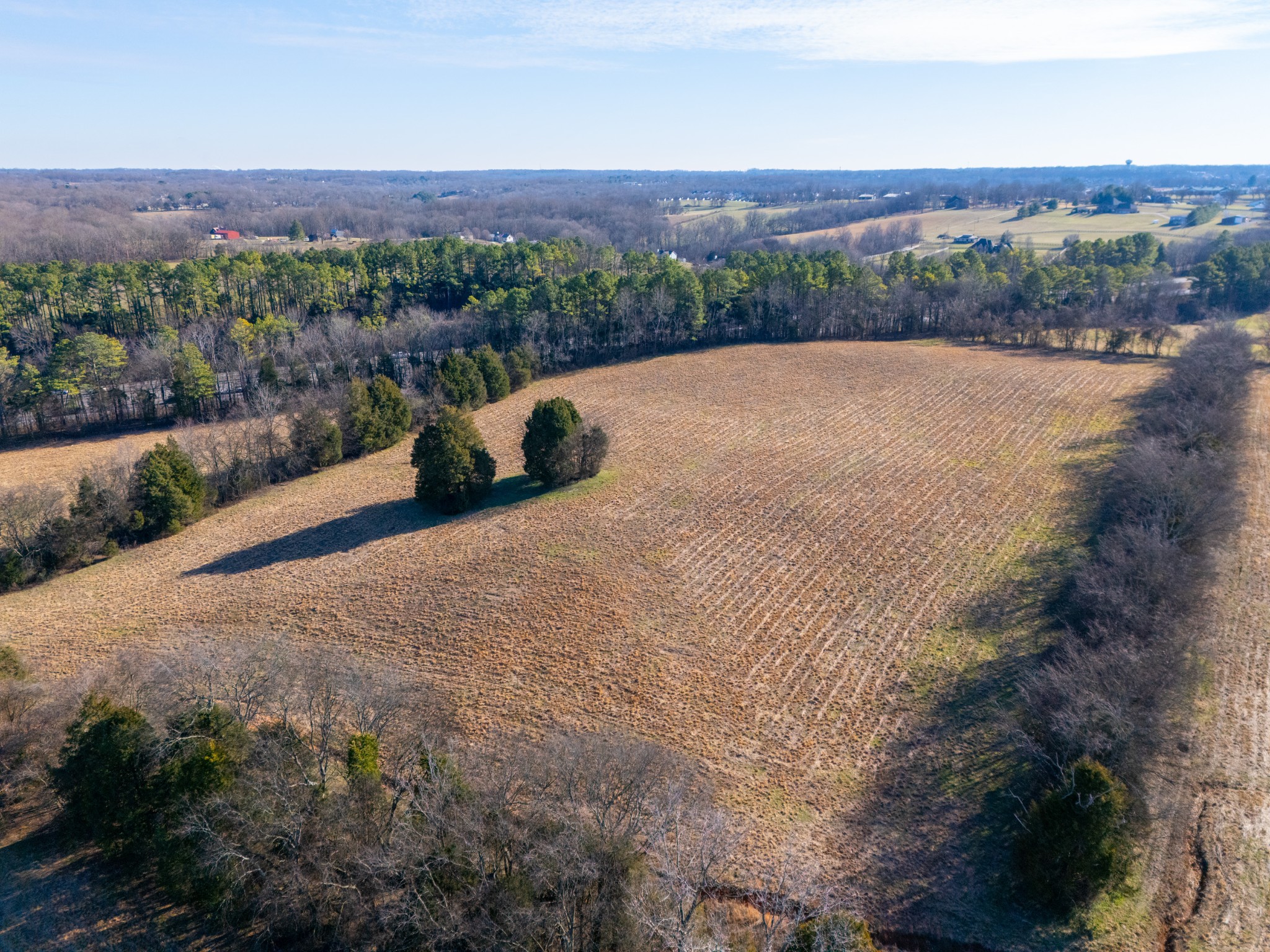 8203 Horseshoe Road White House, TN 37188 - Photo 16 of 28 a view of a backyard of a house