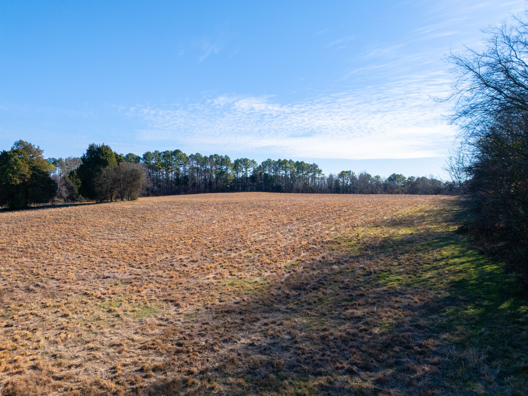 8203 Horseshoe Road White House, TN 37188 - Photo 19 of 28 a view of outdoor space and mountain view