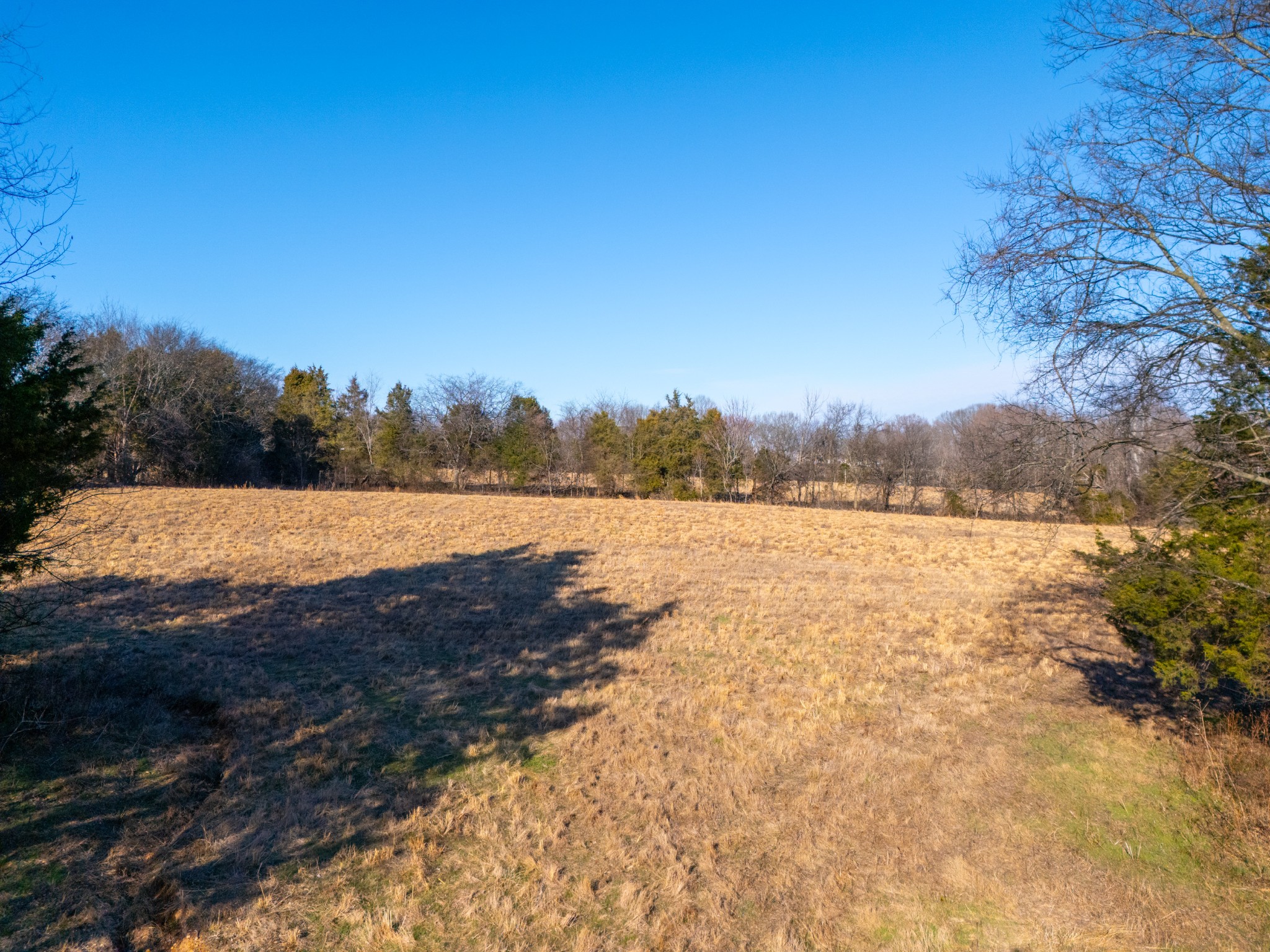 8203 Horseshoe Road White House, TN 37188 - Photo 21 of 28 a view of lake with mountain in background
