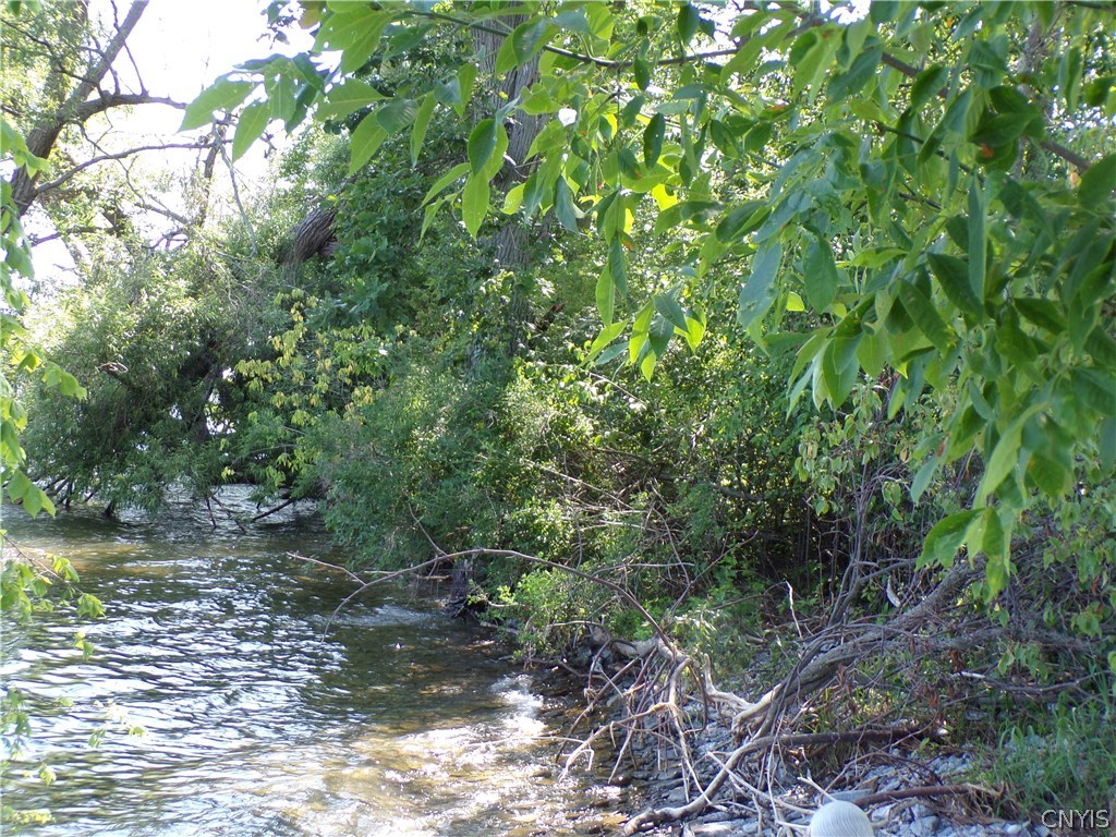 Shoreline