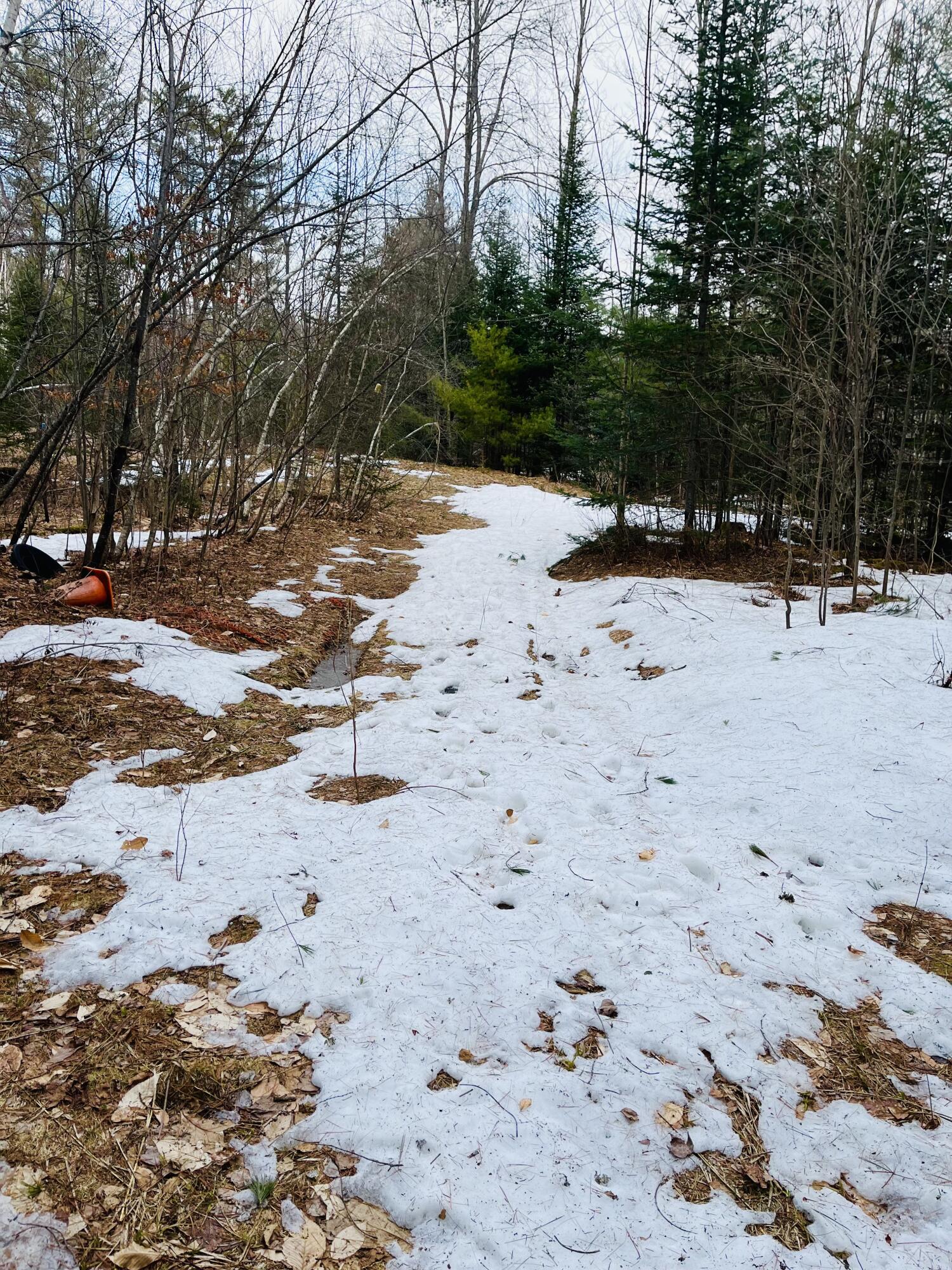 101 Collins Road Parsonsfield, ME 04047 - Photo 1 of 1 IMG-5537