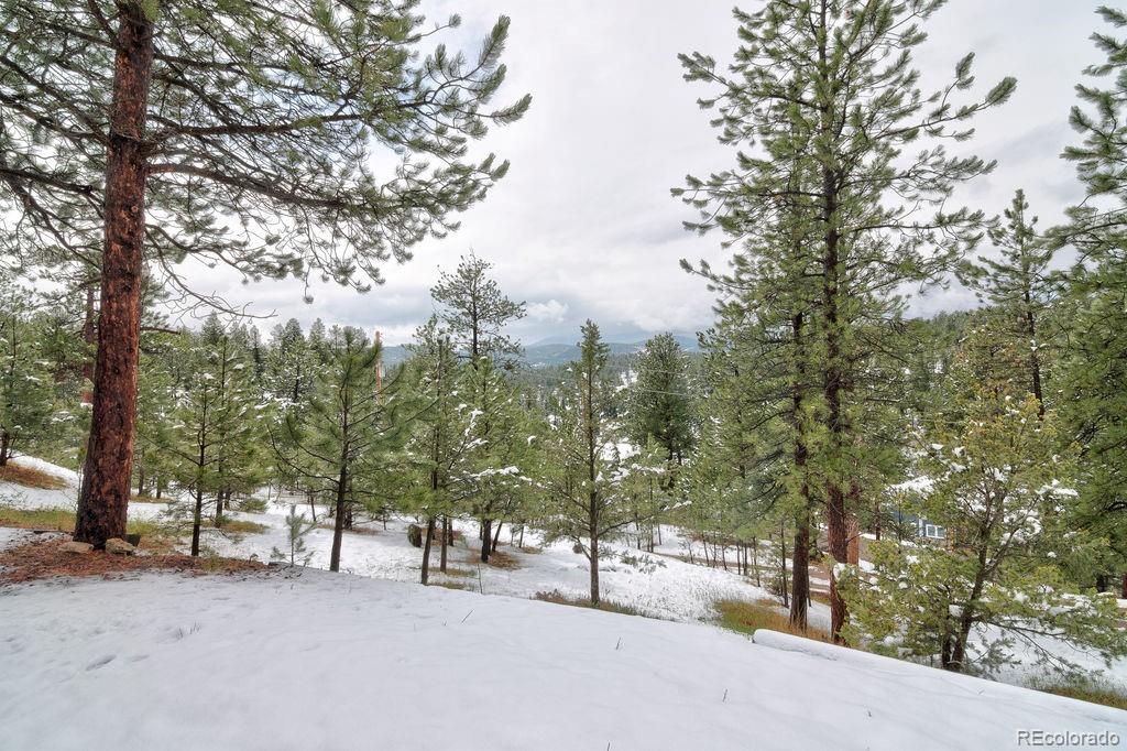 45 Oak Way Evergreen, CO 80439 - Photo 7 of 50