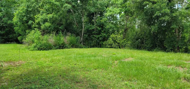 a view of a lush green space