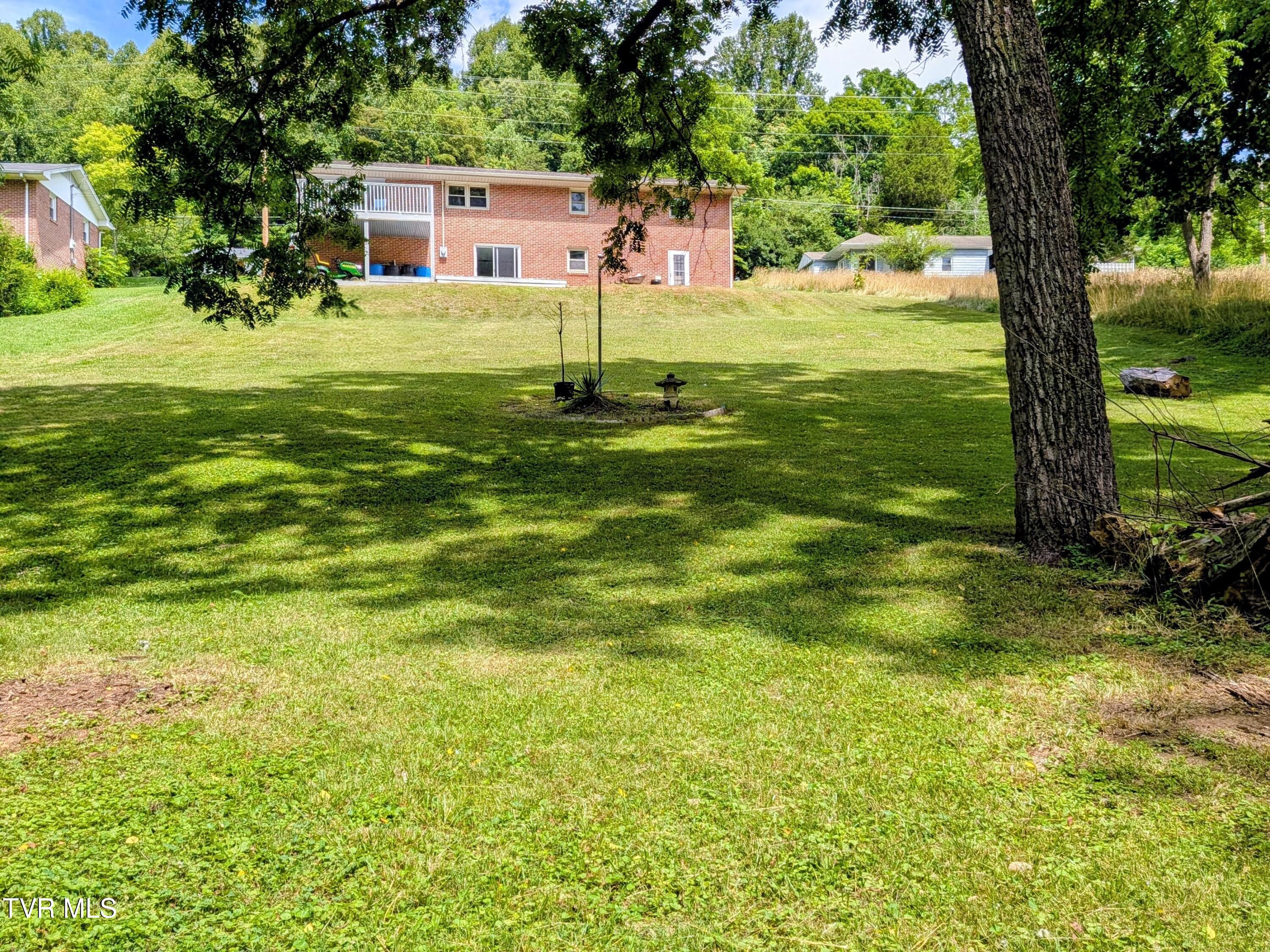 1129 Jackson Hollow Road Kingsport, TN 37663 - Photo 54 of 59 Backyard(5)