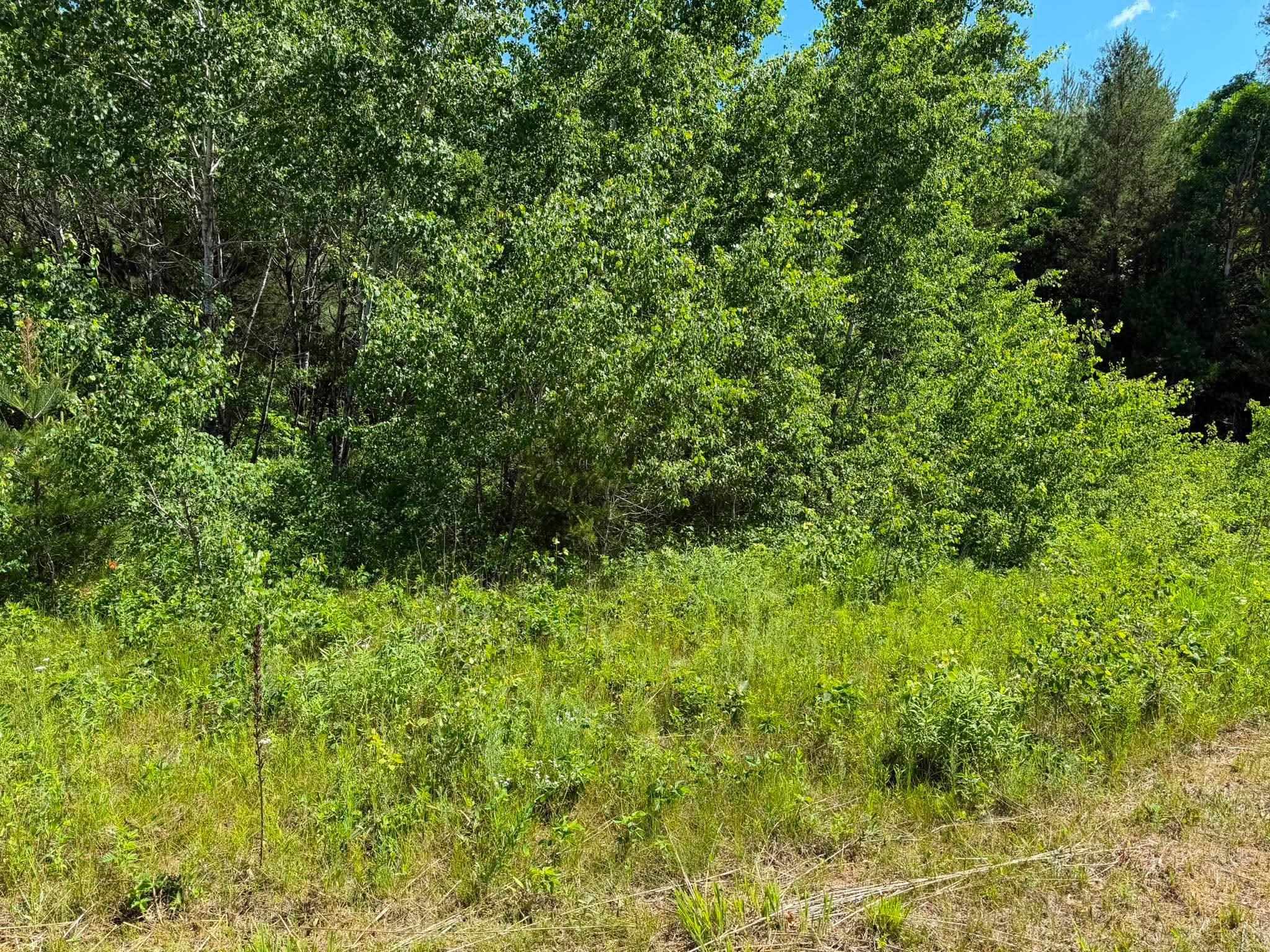 2.5-acres County Rd C Arkdale, WI 54613 - Photo 1 of 1