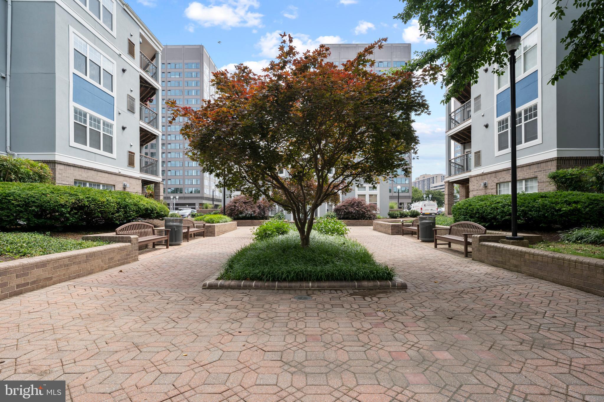 5575 Seminary Road, Unit 113 Falls Church, VA 22041 - Photo 46 of 48 Gallery Image 46