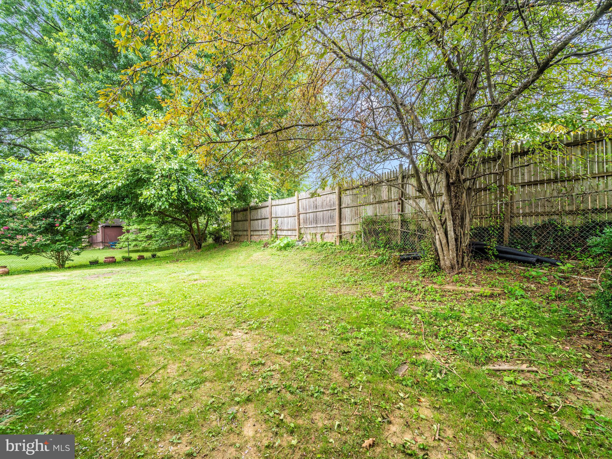 3313 Estelle Terrace Silver Spring, MD 20906 - Photo 40 of 52 a view of a backyard with a garden