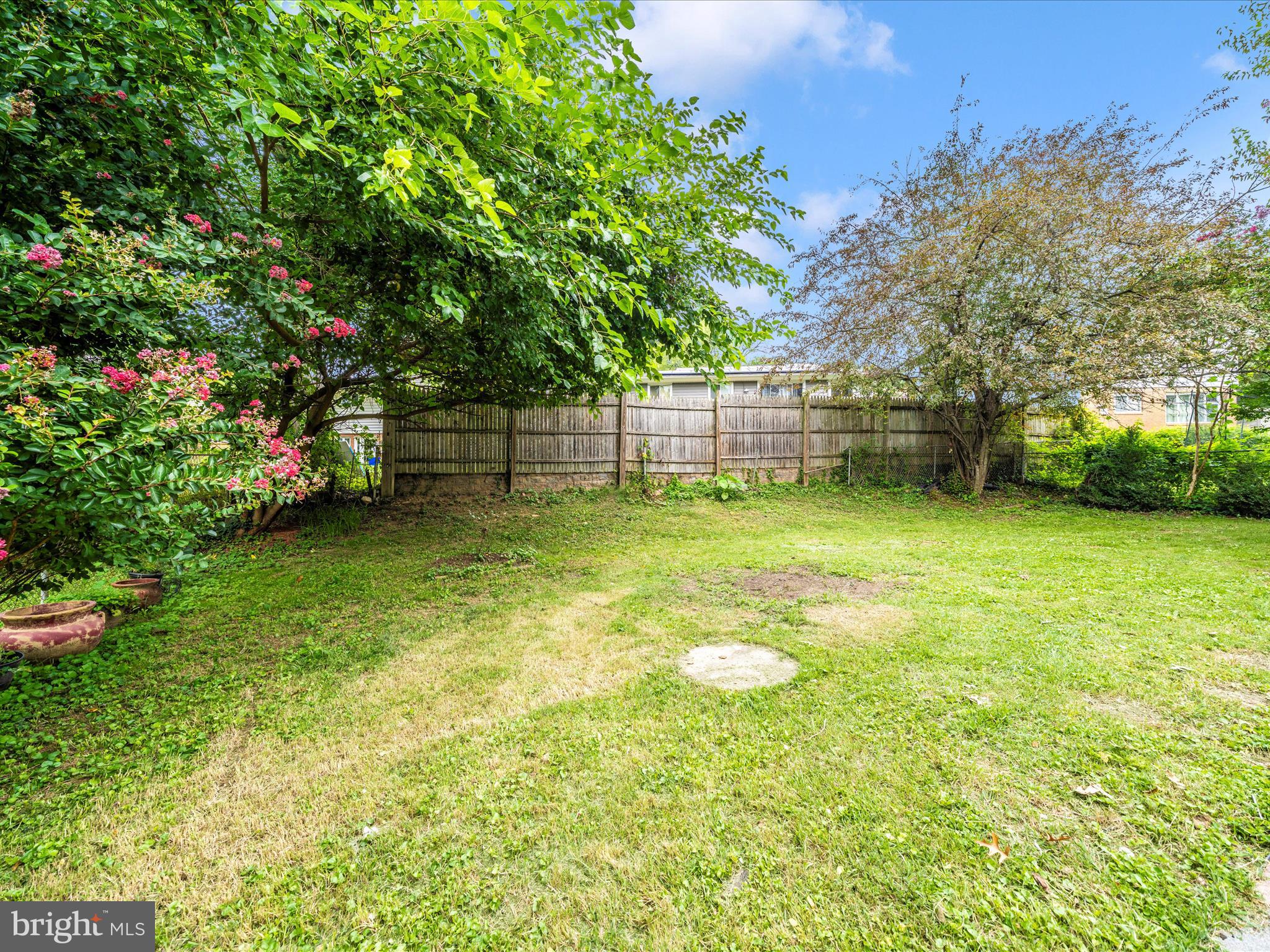 3313 Estelle Terrace Silver Spring, MD 20906 - Photo 41 of 52 a view of a backyard with a small cabin