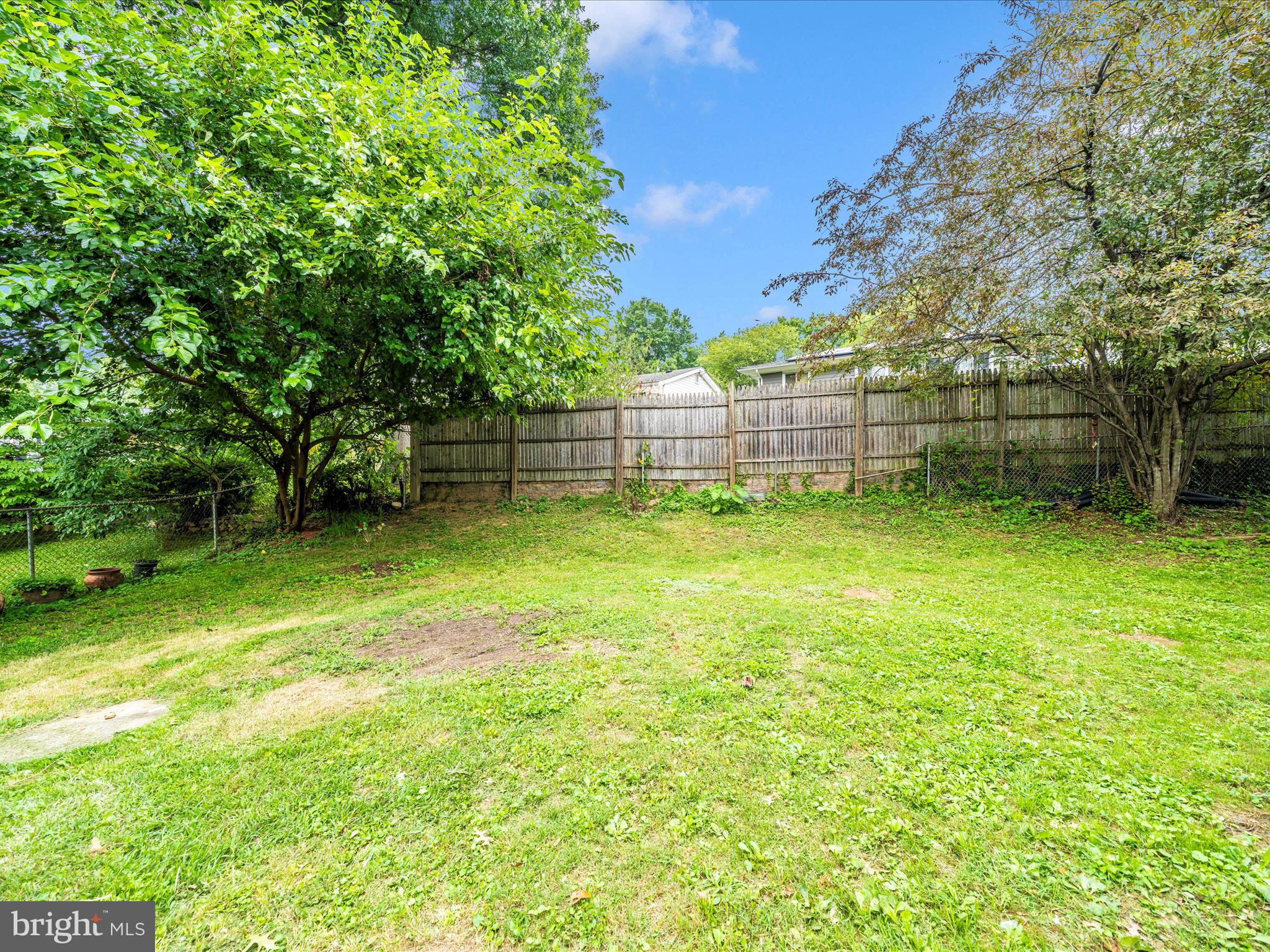3313 Estelle Terrace Silver Spring, MD 20906 - Photo 44 of 52 a view of a yard with a trees