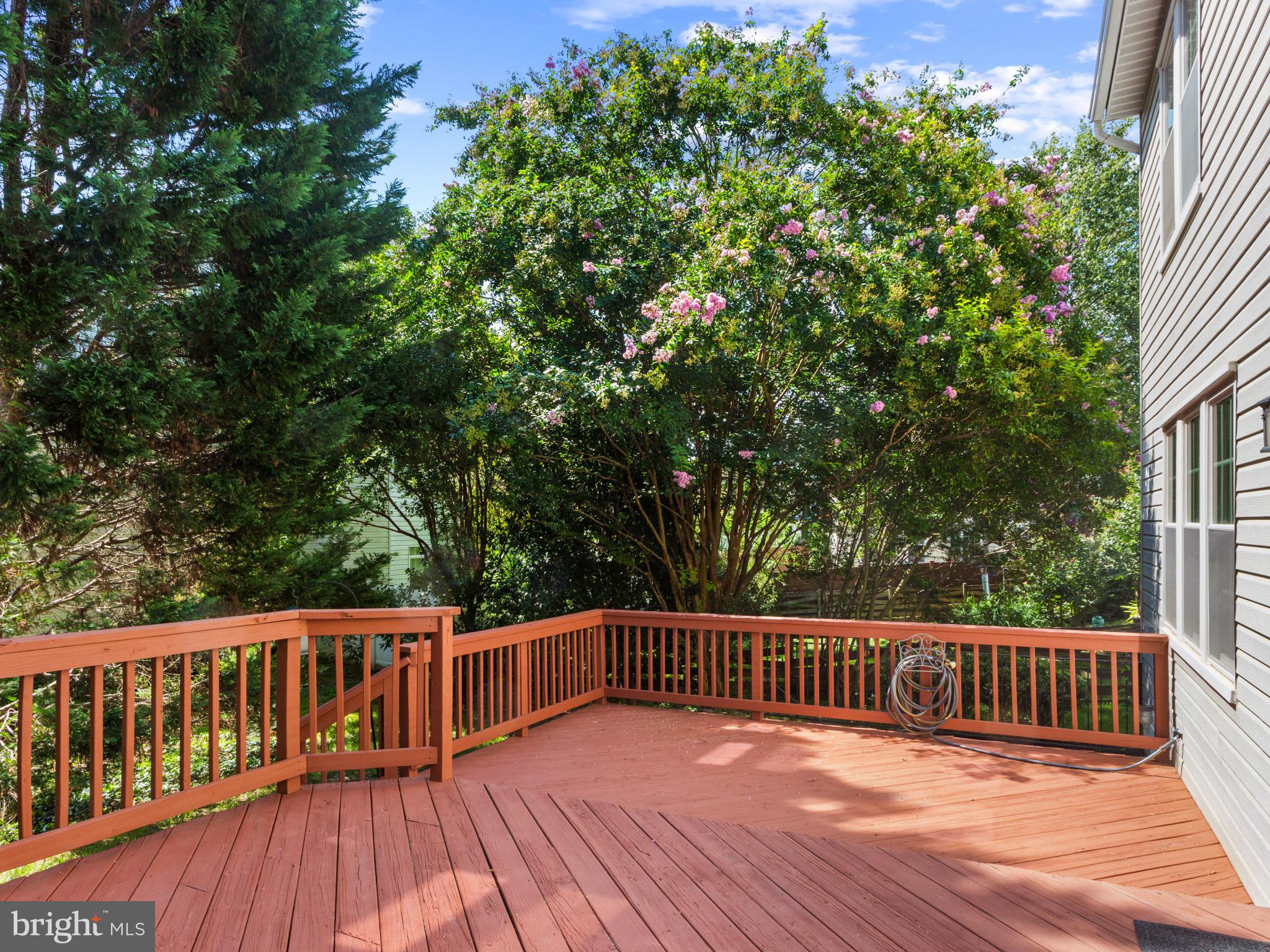 2717 Price Road Crofton, MD 21114 - Photo 9 of 43 Expansive Deck!