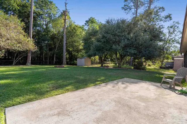 a view of a park with tree s