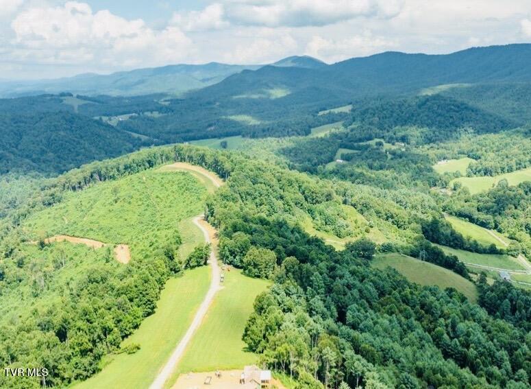 Lot 51 Summerfield Road, Unit 51 Butler, TN 37640 - Photo 4 of 6 IMG_1171 (1)