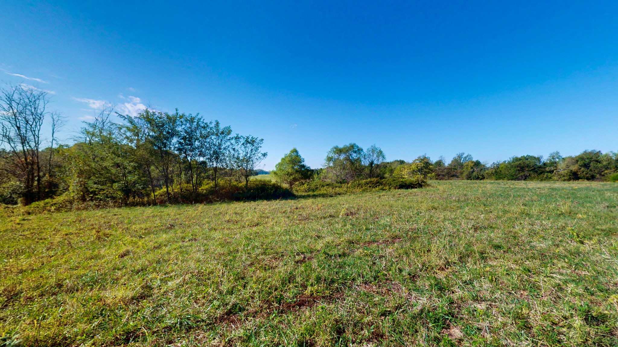 0 Old Paris Murray Road Puryear, TN 38251 - Photo 12 of 42