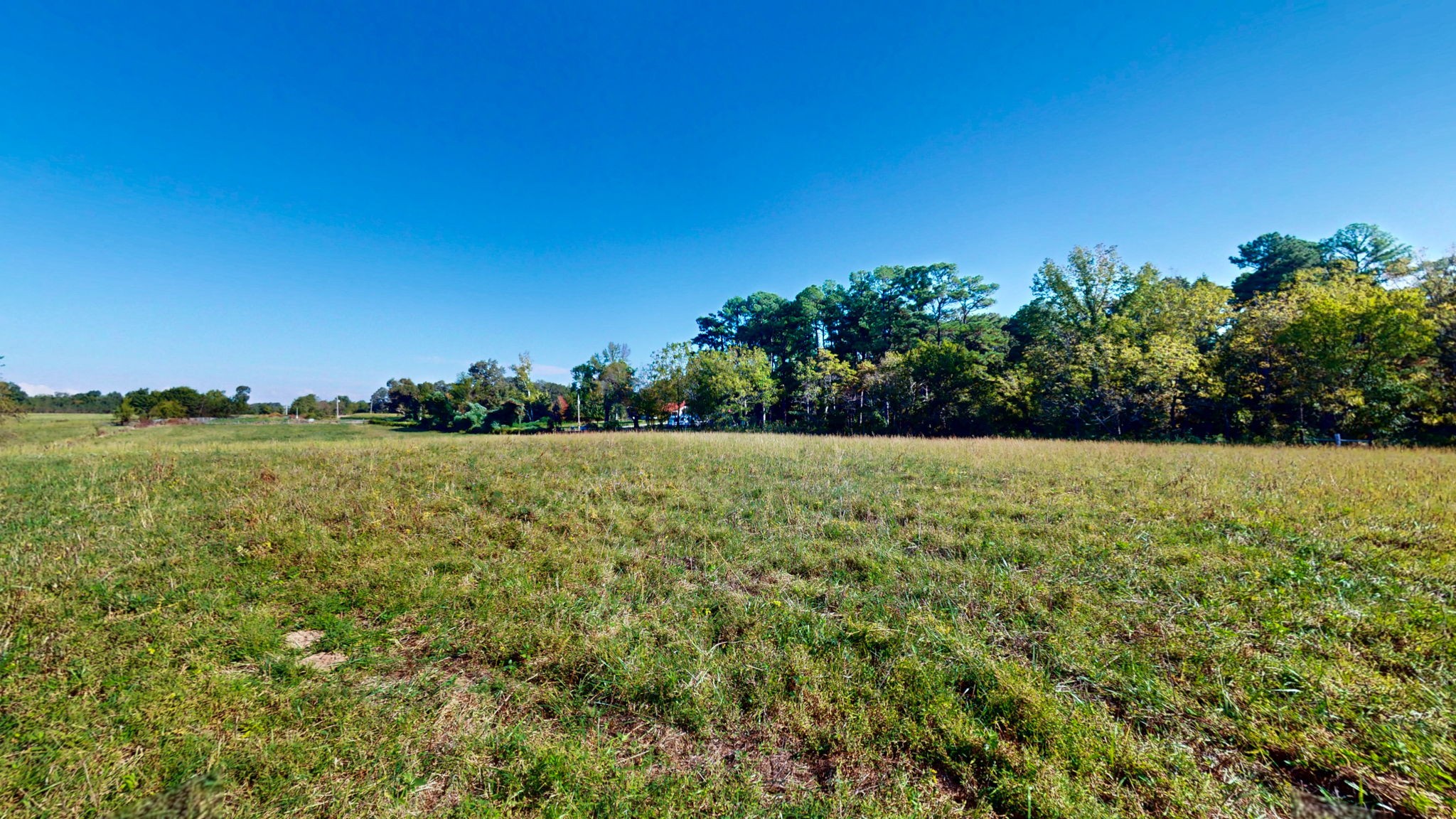 0 Old Paris Murray Road Puryear, TN 38251 - Photo 13 of 42 a view of outdoor space and yard
