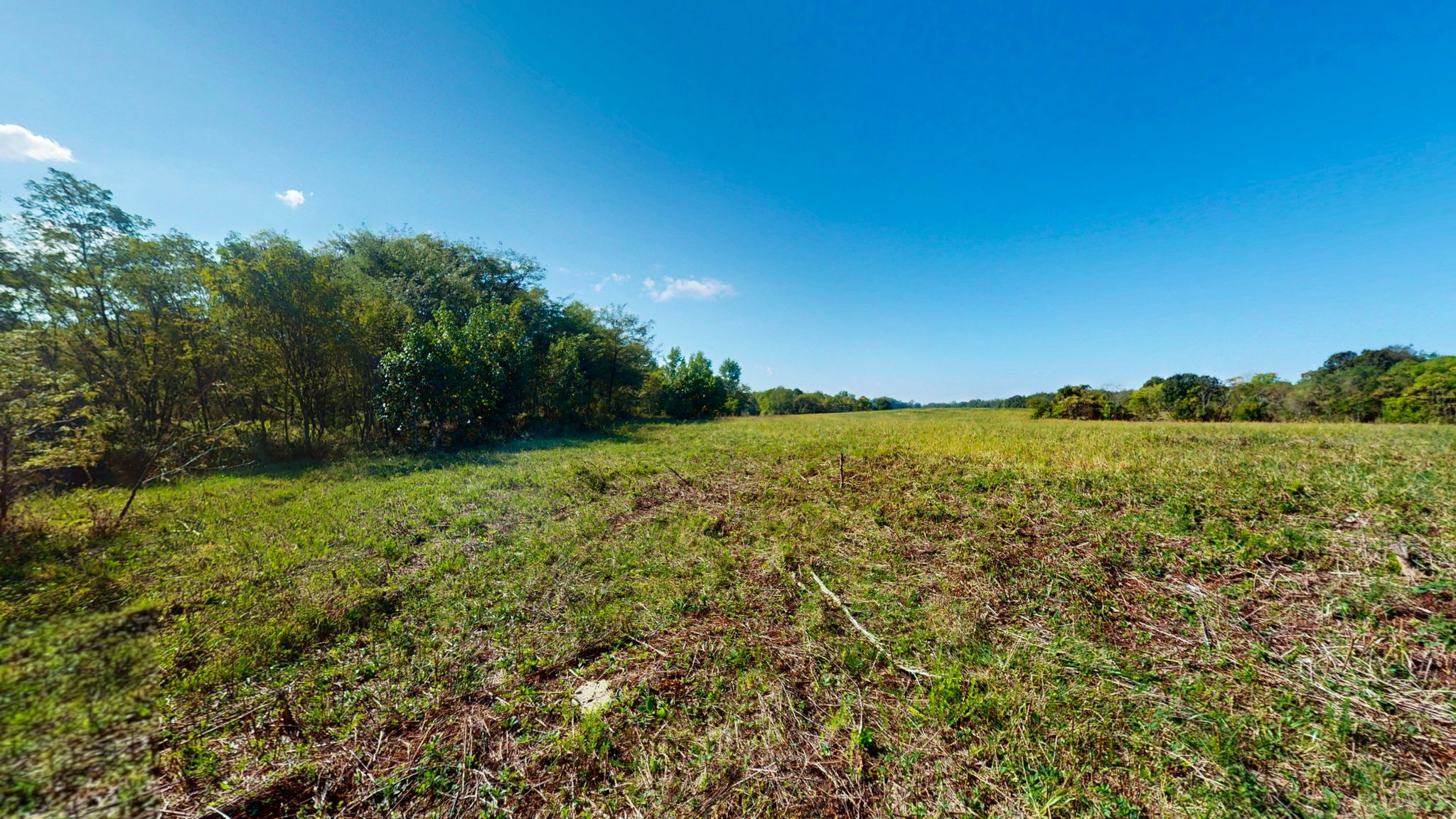 0 Old Paris Murray Road Puryear, TN 38251 - Photo 14 of 42