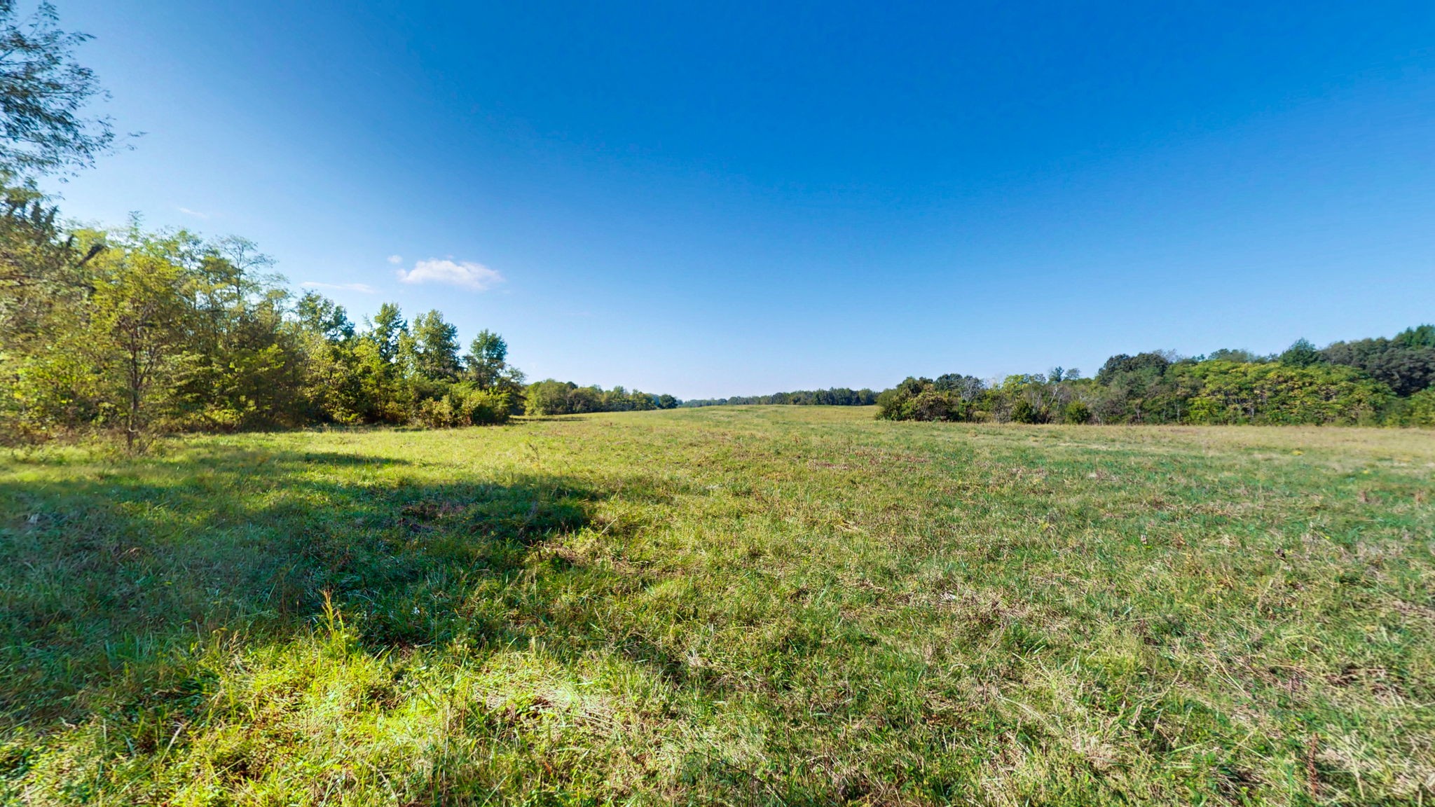 0 Old Paris Murray Road Puryear, TN 38251 - Photo 15 of 42