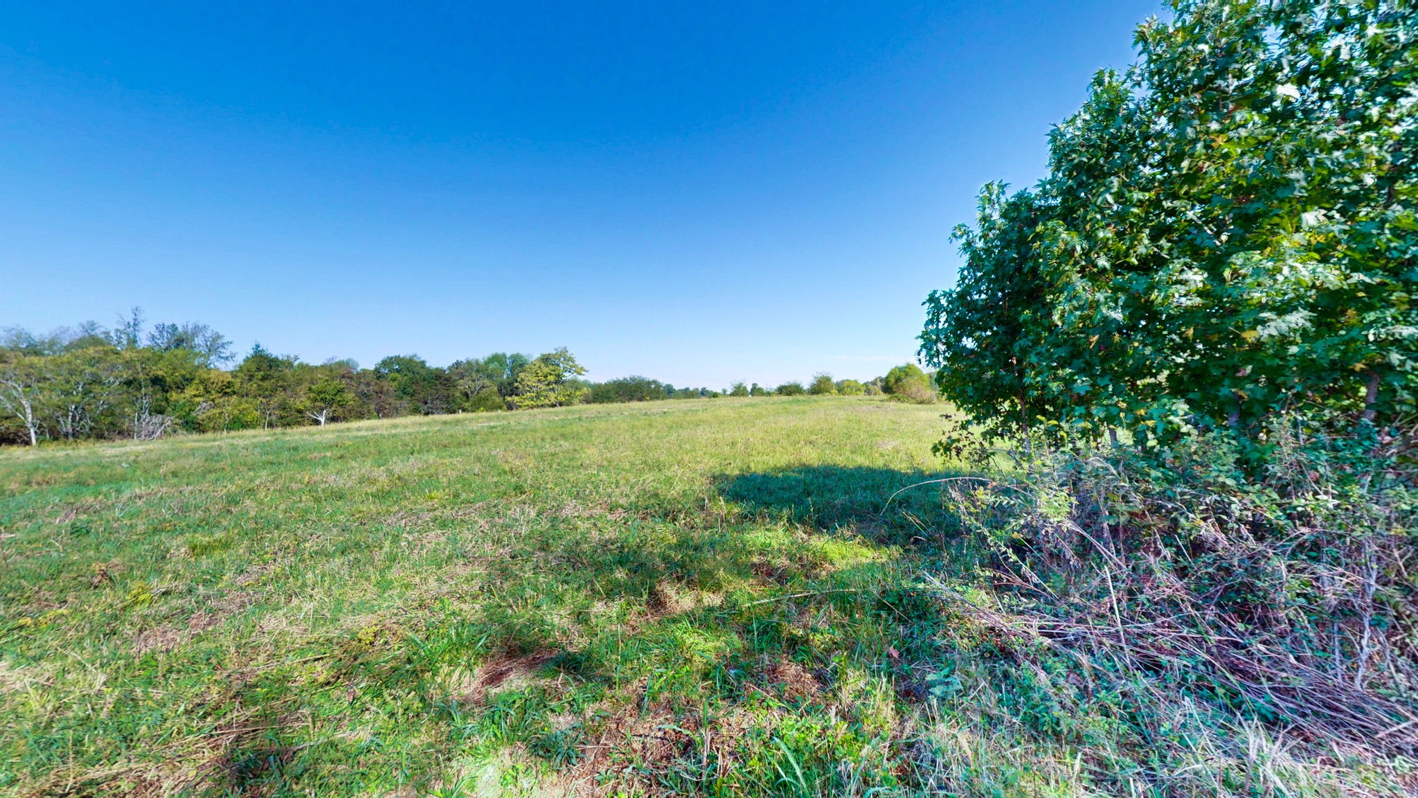 0 Old Paris Murray Road Puryear, TN 38251 - Photo 16 of 42 a view of a lake with a yard