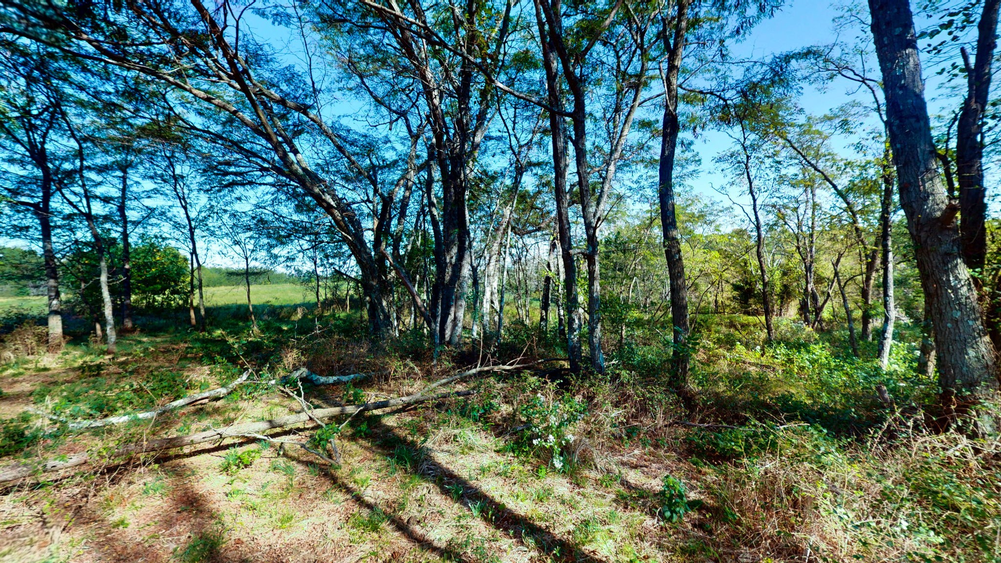 0 Old Paris Murray Road Puryear, TN 38251 - Photo 17 of 42 a view of outdoor space and yard