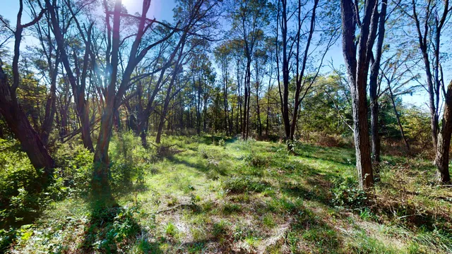 $1,149,000 | 0 Old Paris Murray Road, Puryear, TN 38251