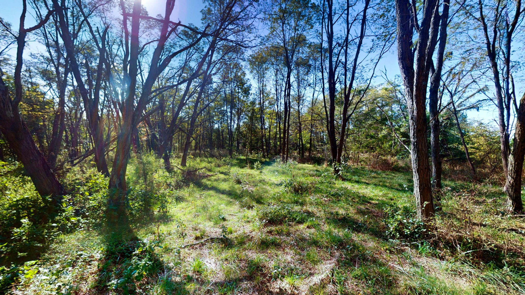 0 Old Paris Murray Road Puryear, TN 38251 - Photo 18 of 42