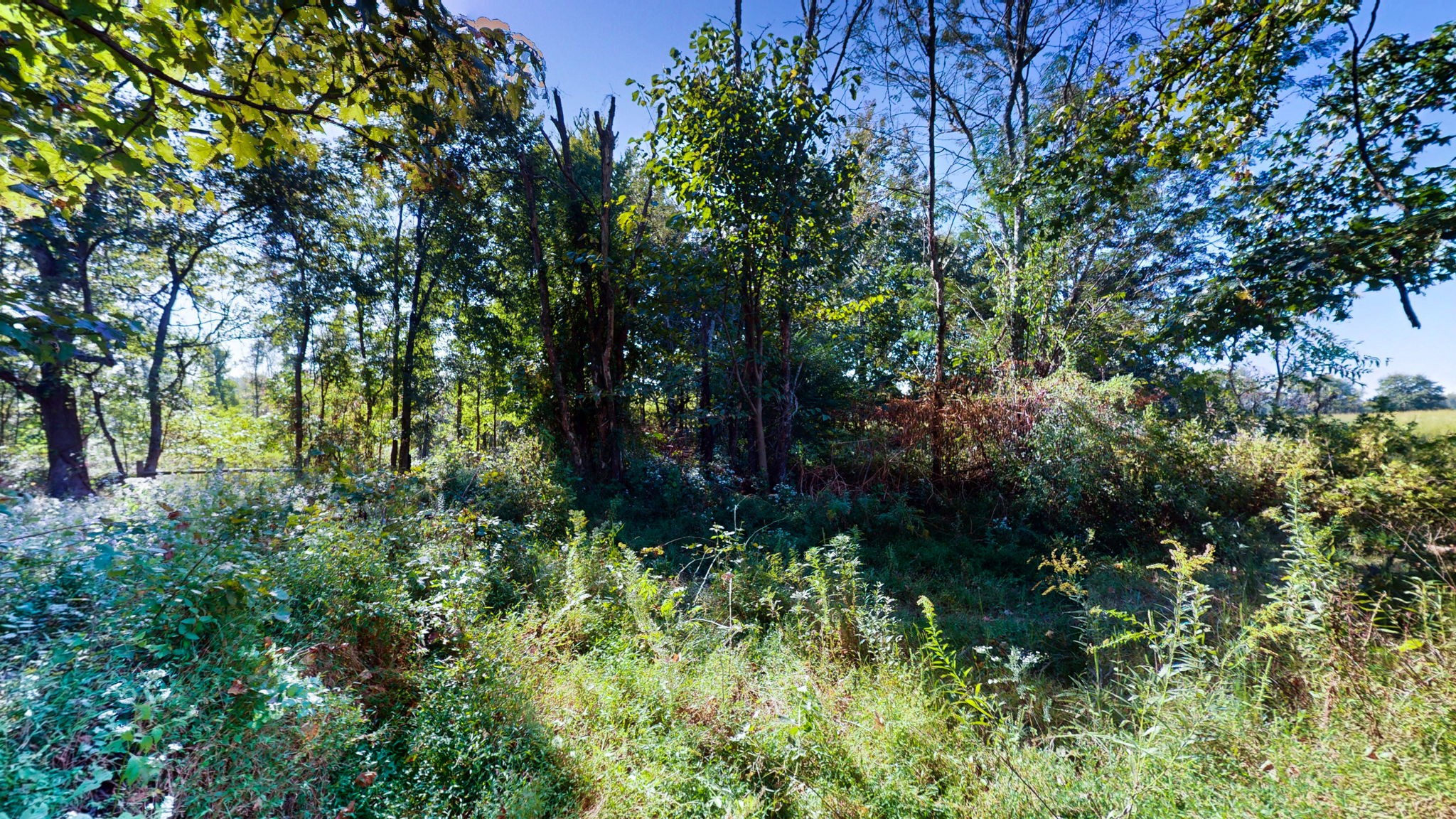 0 Old Paris Murray Road Puryear, TN 38251 - Photo 21 of 42