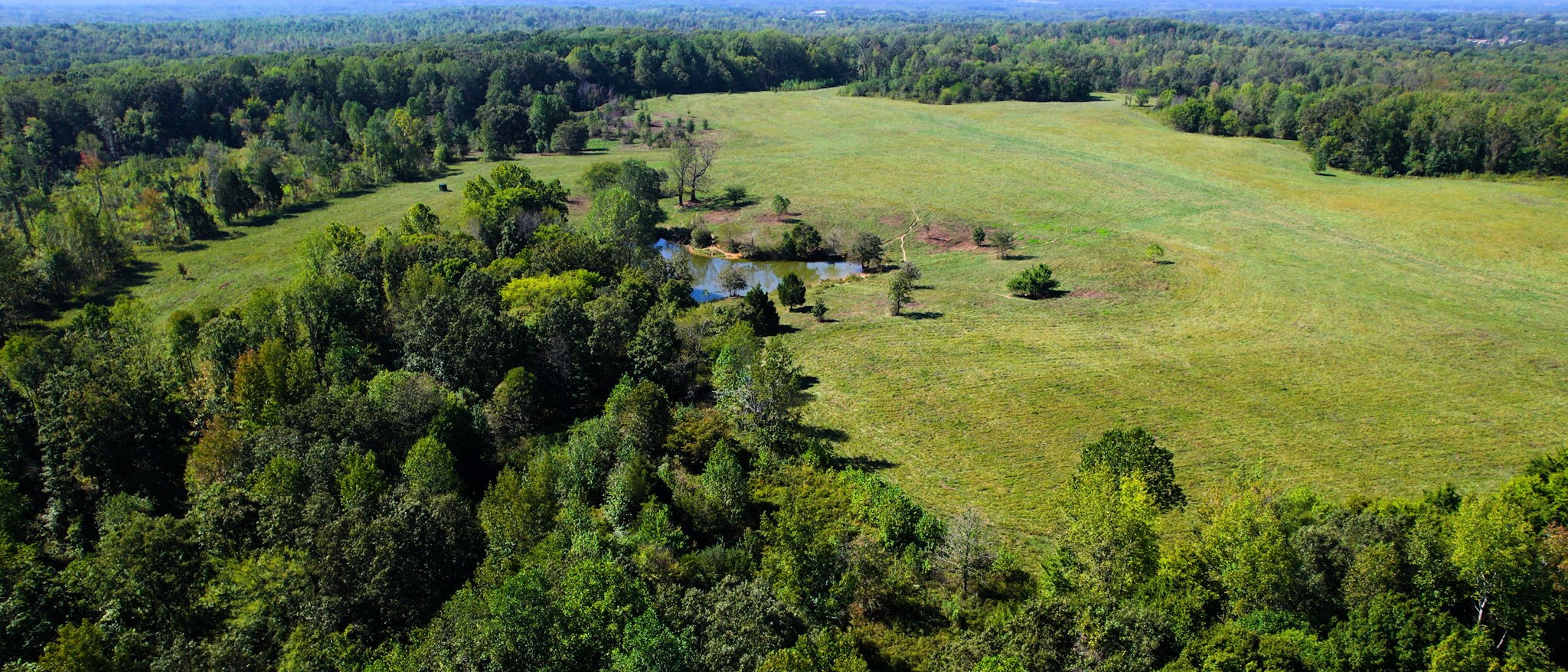 0 Old Paris Murray Road Puryear, TN 38251 - Photo 32 of 42