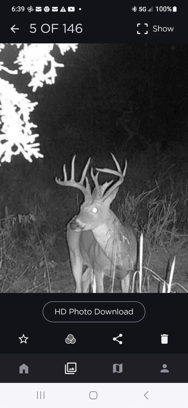 0 Old Paris Murray Road Puryear, TN 38251 - Photo 39 of 42