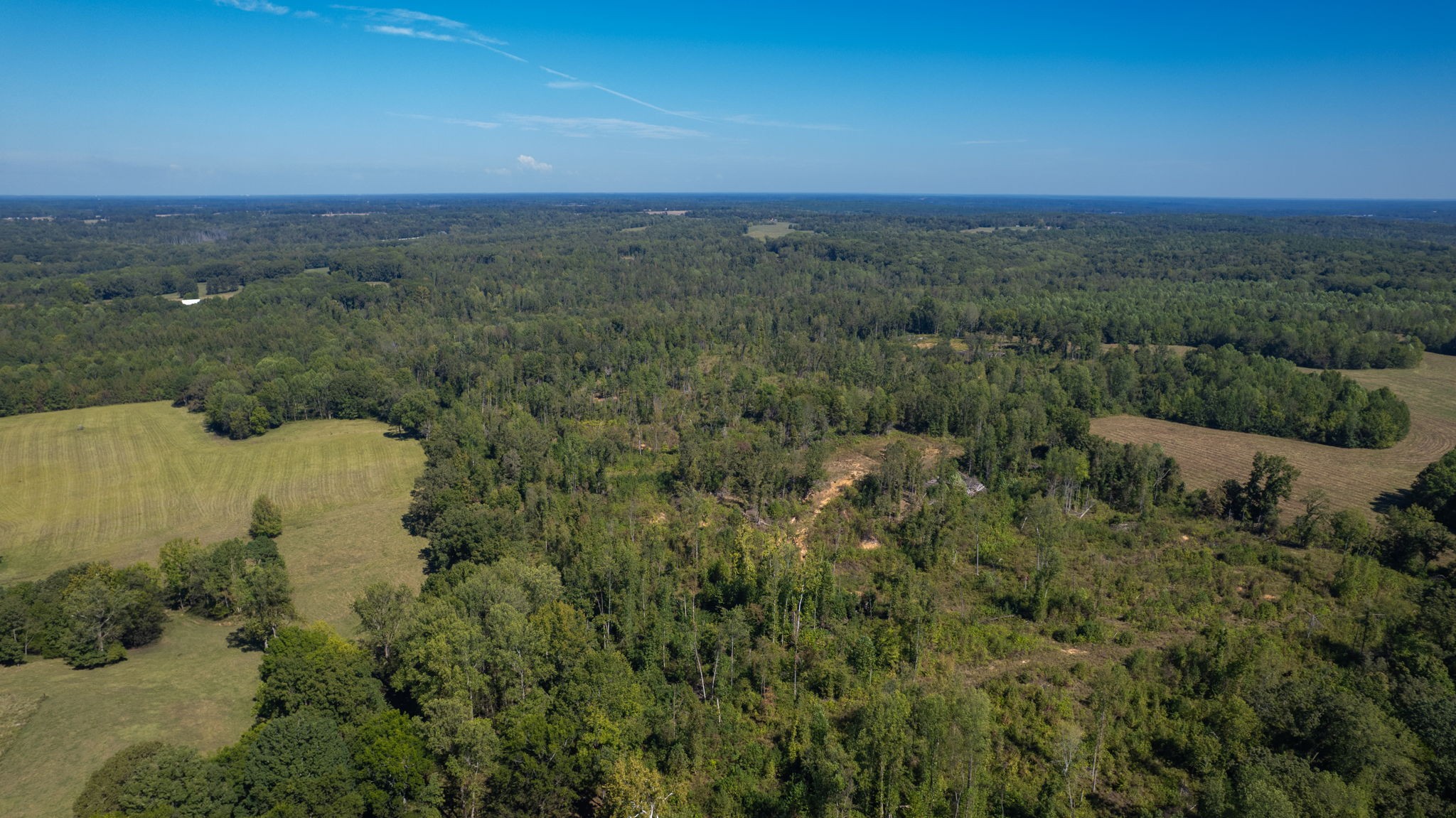 0 Old Paris Murray Road Puryear, TN 38251 - Photo 4 of 42 an aerial view of residential houses with outdoor space and trees