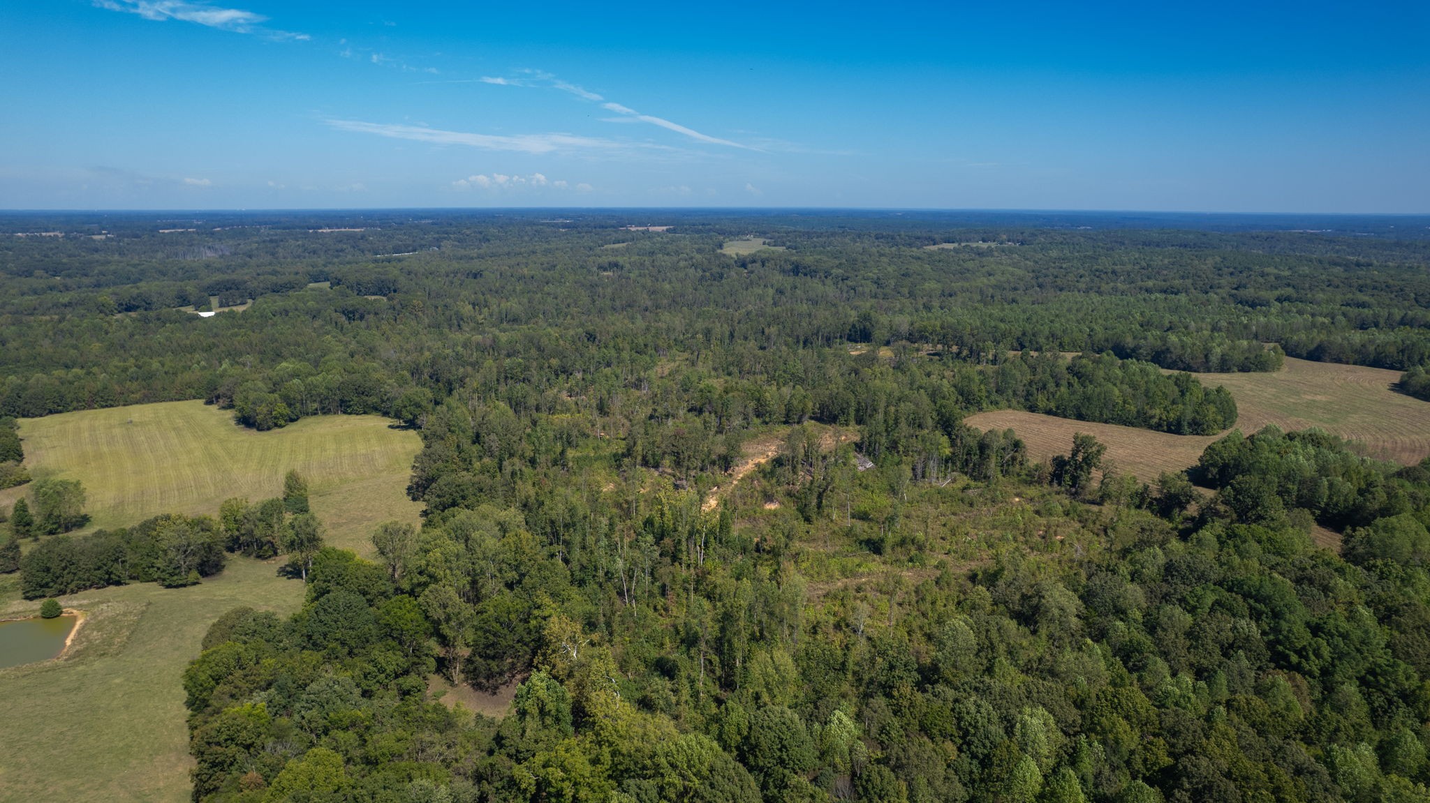 0 Old Paris Murray Road Puryear, TN 38251 - Photo 5 of 42