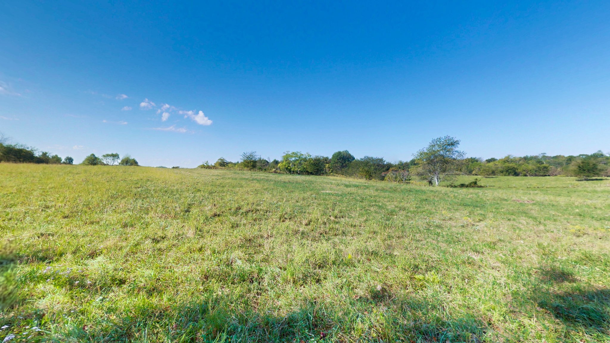 0 Old Paris Murray Road Puryear, TN 38251 - Photo 8 of 42