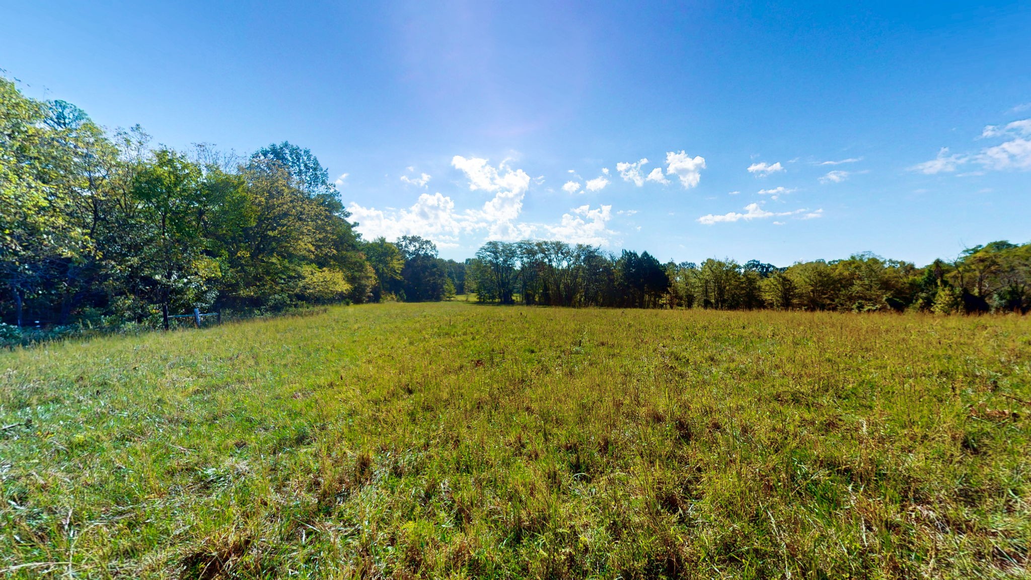 0 Old Paris Murray Road Puryear, TN 38251 - Photo 10 of 42 a backyard of a house with lots of green space