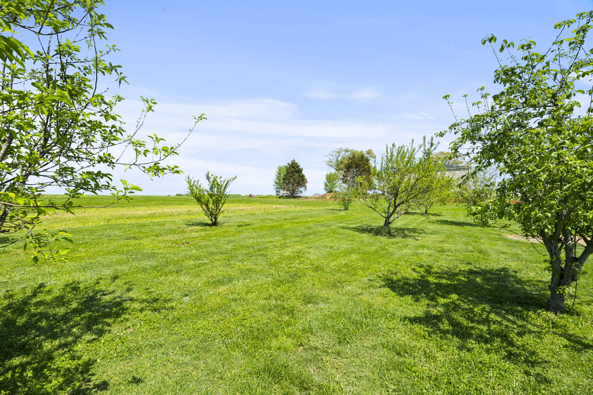 5958 Fred Perry Road Springfield, TN 37172 - Photo 30 of 32 a view of a garden with a tree