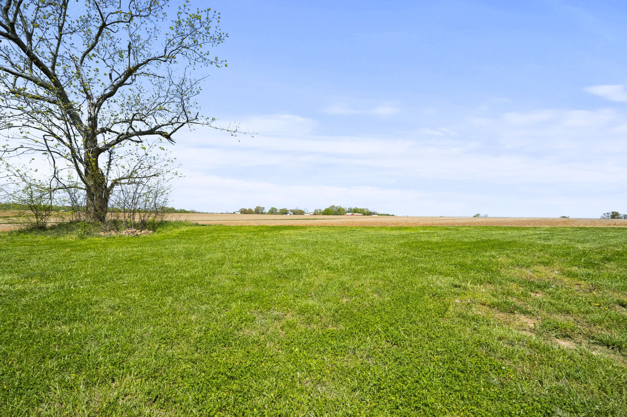 5958 Fred Perry Road Springfield, TN 37172 - Photo 31 of 32 a view of yard with ocean and trees