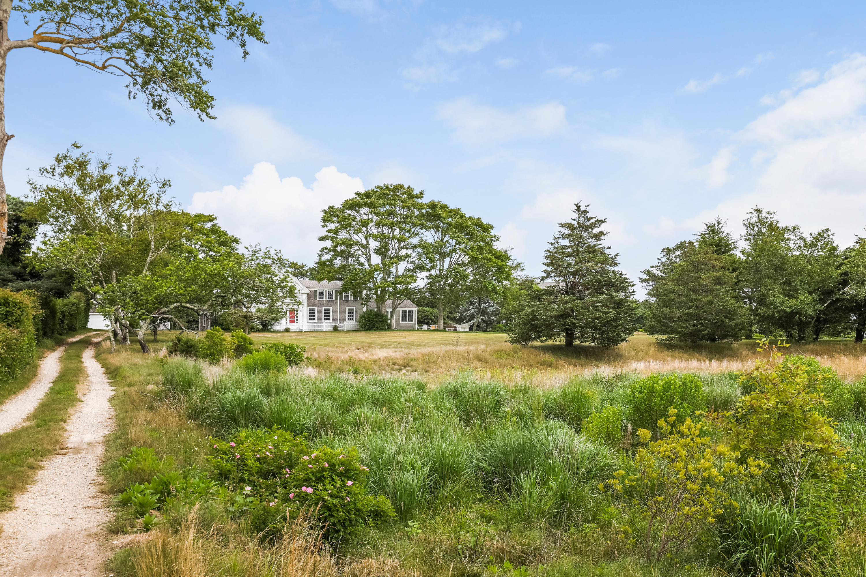 119 Scatteree Road North Chatham, MA 02650 - Photo 3 of 32 a view of a field of grass and trees