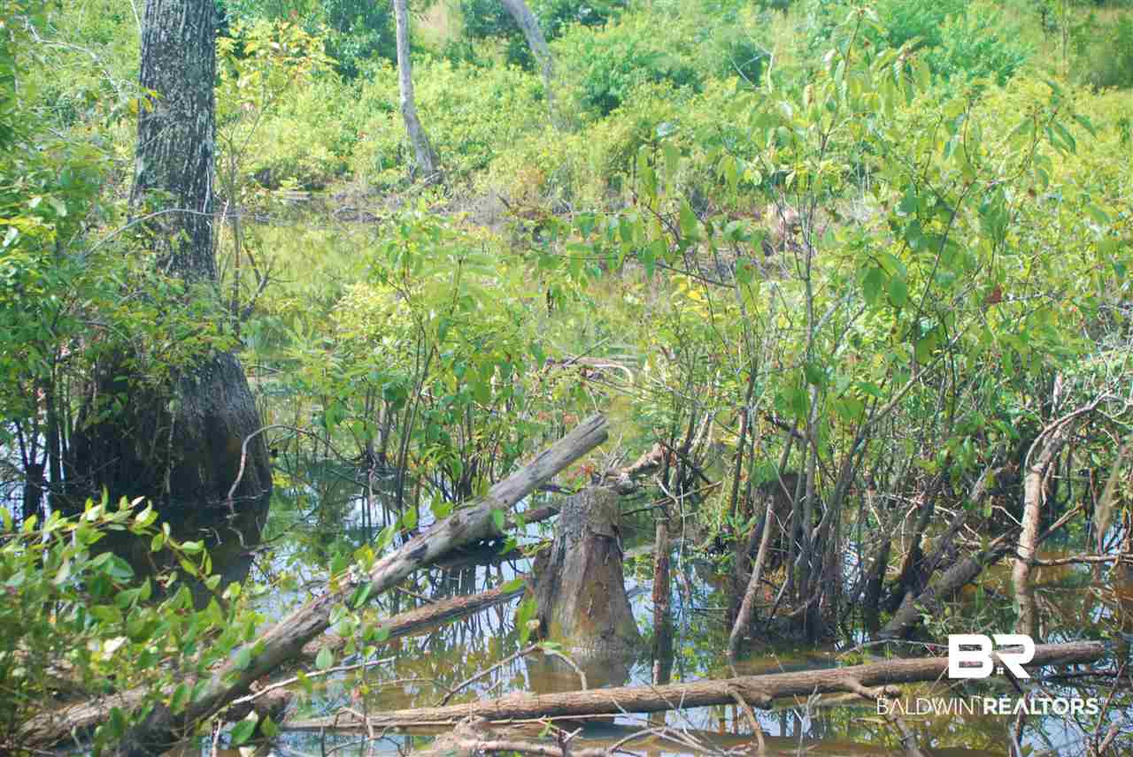 249 Camp Dixon Road Brewton, AL 36426 - Photo 27 of 48