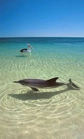 $3,650 | 13845 Old Creek Court, Parrish, FL 34219