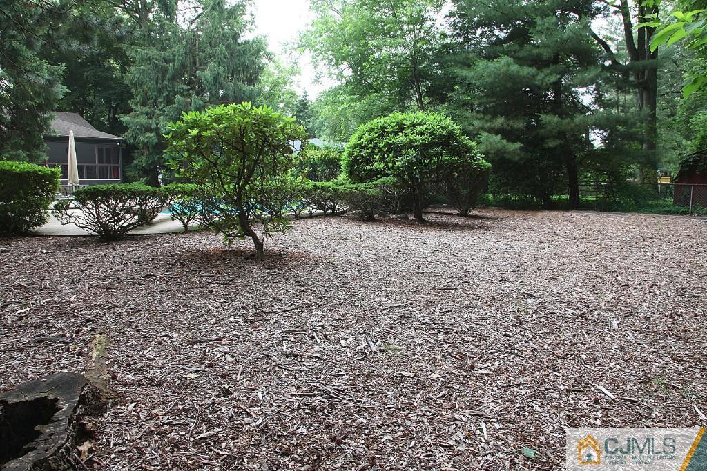 25 Clive Hills Road Edison, NJ 08820 - Photo 6 of 25 a view of a yard with plants and trees